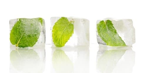 22 Healthy Freezer Friendly Foods. Fresh herbs can also be preserved when put inside the freezer.